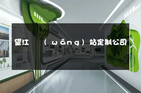 望江縣網(wǎng)站定制公司
