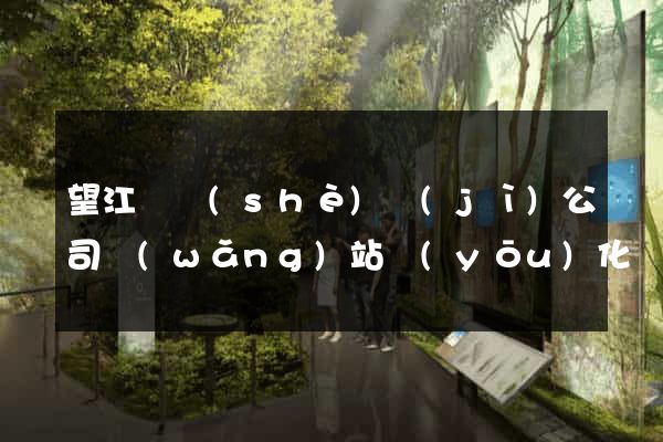 望江縣設(shè)計(jì)公司網(wǎng)站優(yōu)化