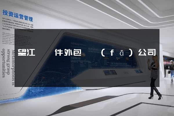 望江縣軟件外包開發(fā)公司