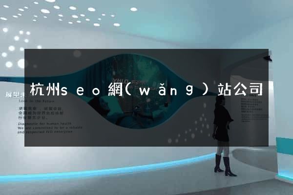 杭州seo網(wǎng)站公司