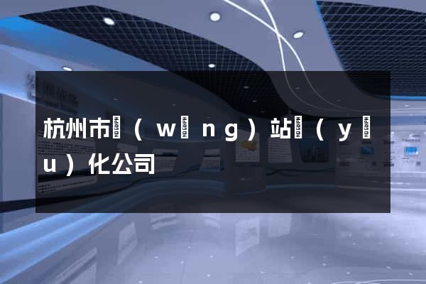 杭州市網(wǎng)站優(yōu)化公司