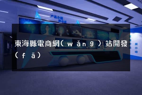 東海縣電商網(wǎng)站開發(fā)