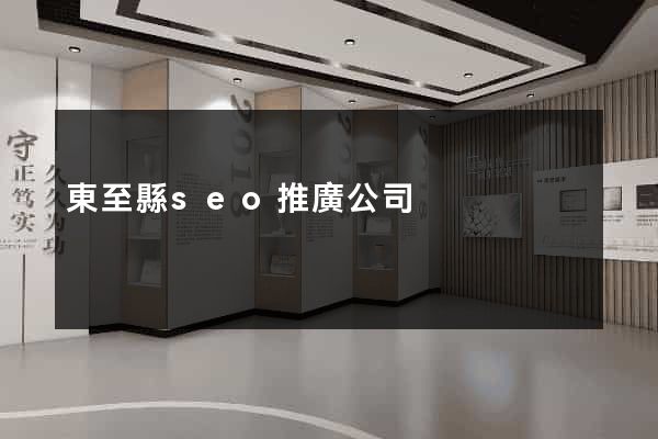 東至縣seo推廣公司