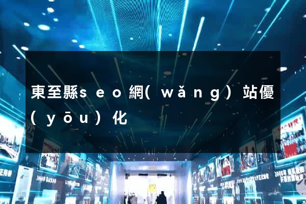東至縣seo網(wǎng)站優(yōu)化