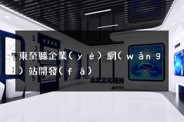 東至縣企業(yè)網(wǎng)站開發(fā)