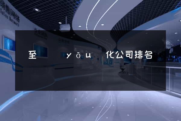東至縣優(yōu)化公司排名