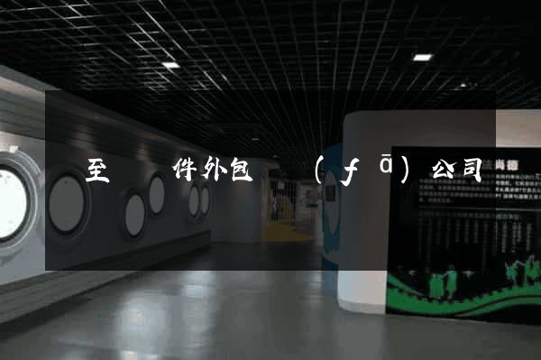東至縣軟件外包開發(fā)公司