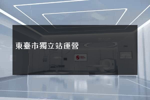 東臺市獨立站運營