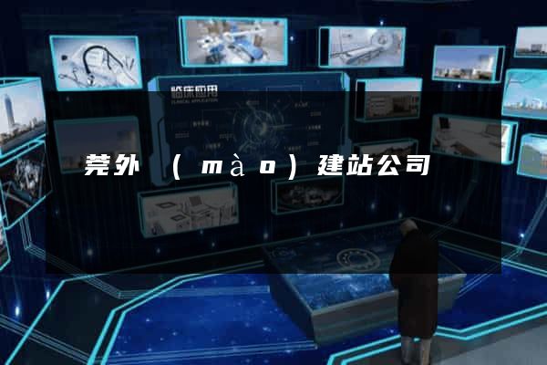 東莞外貿(mào)建站公司