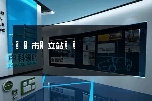 東陽市獨立站運營