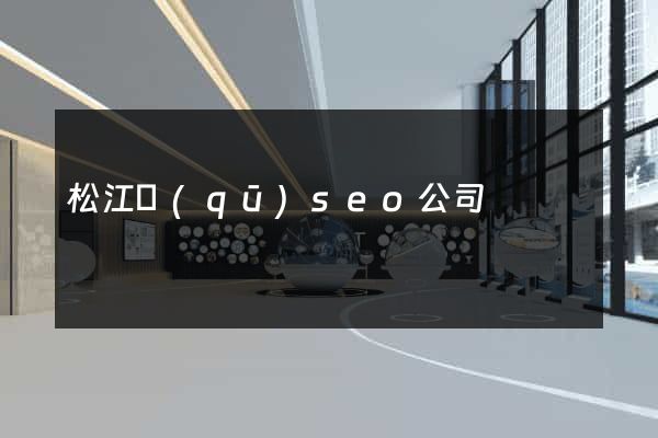 松江區(qū)seo公司