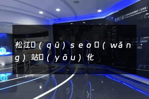 松江區(qū)seo網(wǎng)站優(yōu)化
