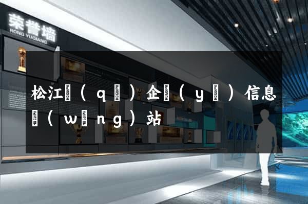 松江區(qū)企業(yè)信息網(wǎng)站