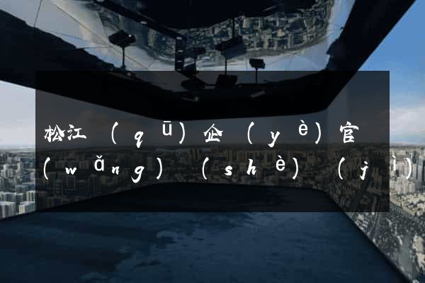 松江區(qū)企業(yè)官網(wǎng)設(shè)計(jì)
