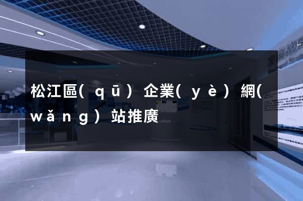 松江區(qū)企業(yè)網(wǎng)站推廣