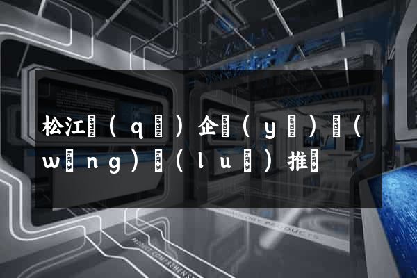 松江區(qū)企業(yè)網(wǎng)絡(luò)推廣