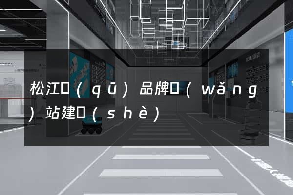 松江區(qū)品牌網(wǎng)站建設(shè)