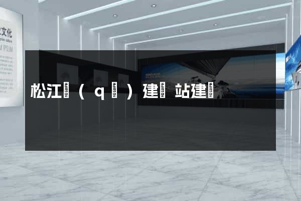 松江區(qū)建網站建設