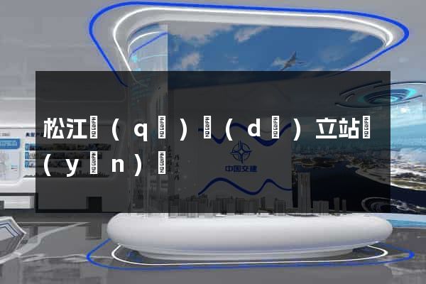 松江區(qū)獨(dú)立站運(yùn)營