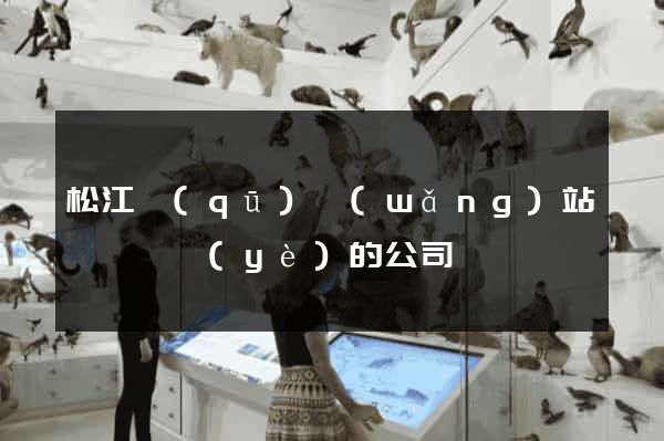 松江區(qū)網(wǎng)站設計專業(yè)的公司