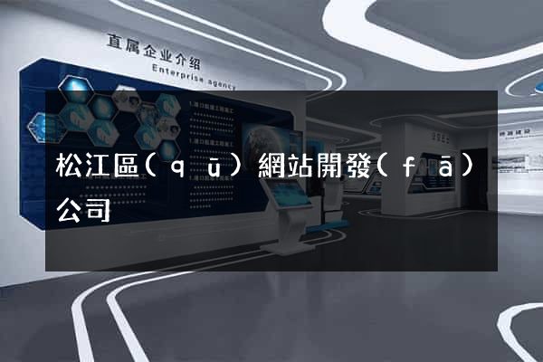 松江區(qū)網站開發(fā)公司