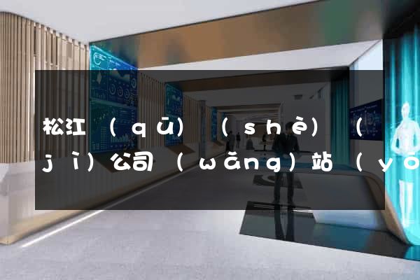 松江區(qū)設(shè)計(jì)公司網(wǎng)站優(yōu)化