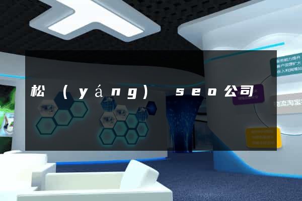 松陽(yáng)縣seo公司