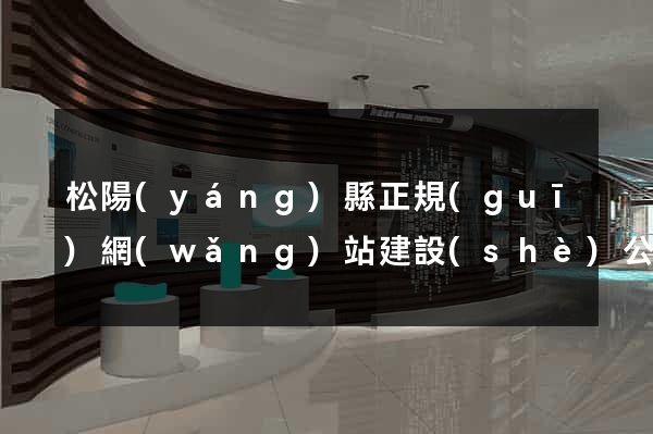 松陽(yáng)縣正規(guī)網(wǎng)站建設(shè)公司