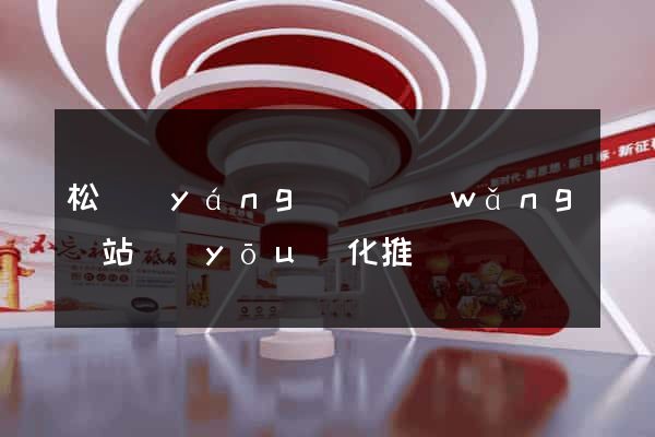 松陽(yáng)縣網(wǎng)站優(yōu)化推廣