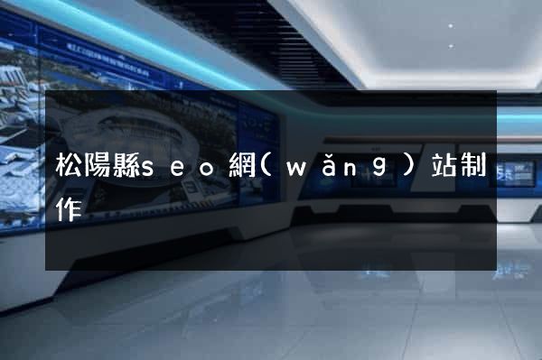 松陽縣seo網(wǎng)站制作