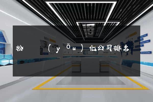 松陽縣優(yōu)化公司排名