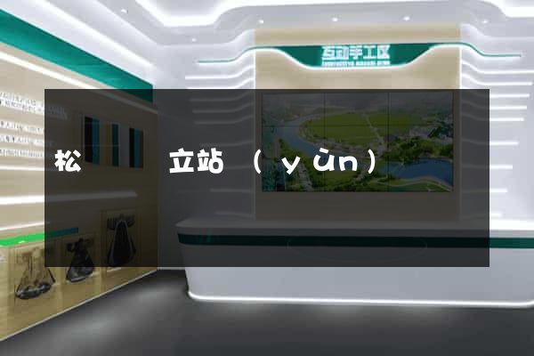 松陽縣獨立站運(yùn)營