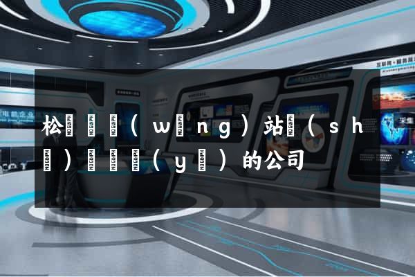 松陽縣網(wǎng)站設(shè)計專業(yè)的公司