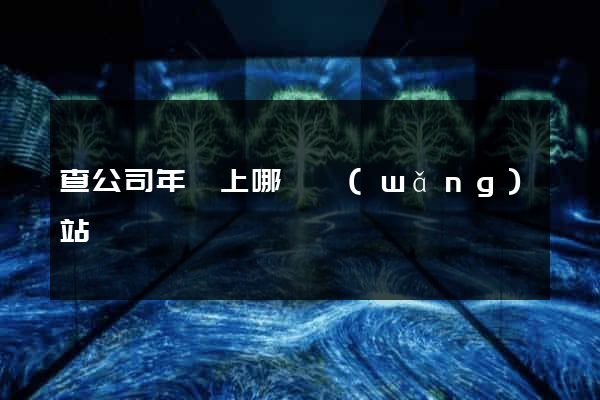 查公司年報上哪個網(wǎng)站