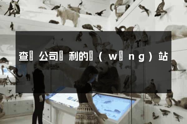 查詢公司專利的網(wǎng)站