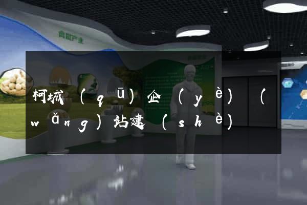 柯城區(qū)企業(yè)網(wǎng)站建設(shè)