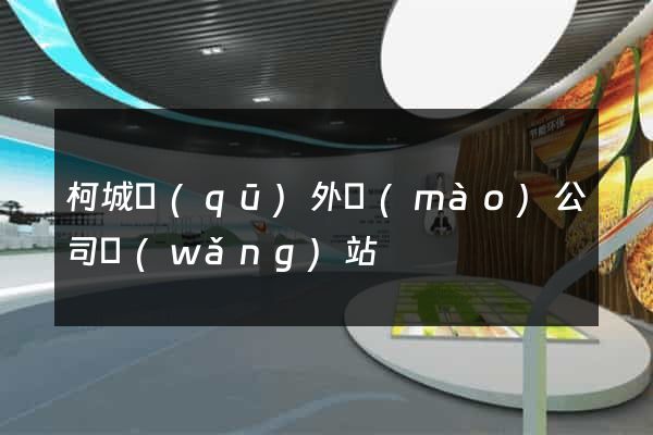 柯城區(qū)外貿(mào)公司網(wǎng)站