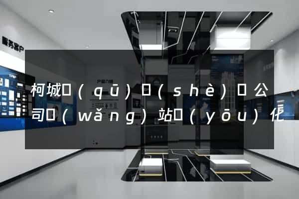 柯城區(qū)設(shè)計公司網(wǎng)站優(yōu)化