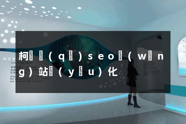 柯橋區(qū)seo網(wǎng)站優(yōu)化