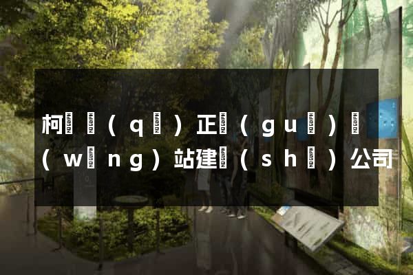 柯橋區(qū)正規(guī)網(wǎng)站建設(shè)公司