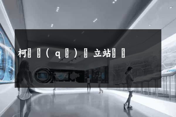 柯橋區(qū)獨立站運營