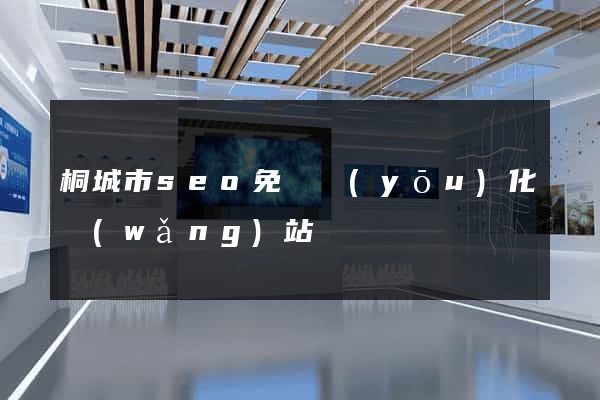 桐城市seo免費優(yōu)化網(wǎng)站