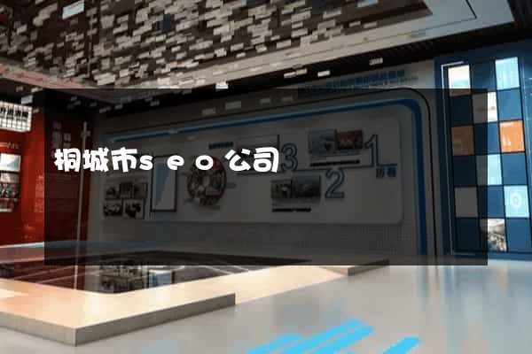 桐城市seo公司