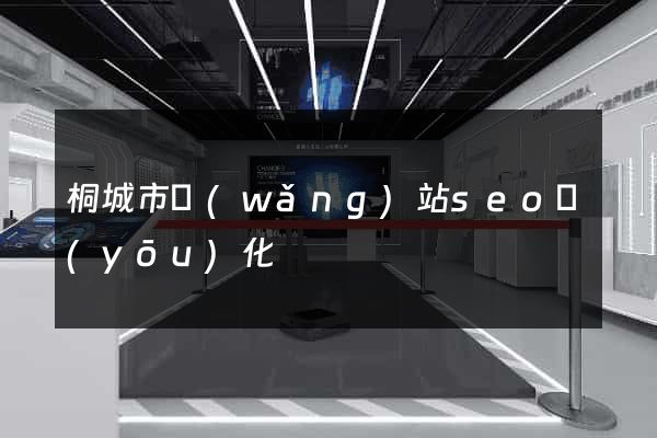 桐城市網(wǎng)站seo優(yōu)化