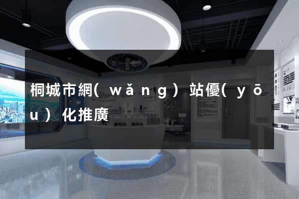 桐城市網(wǎng)站優(yōu)化推廣