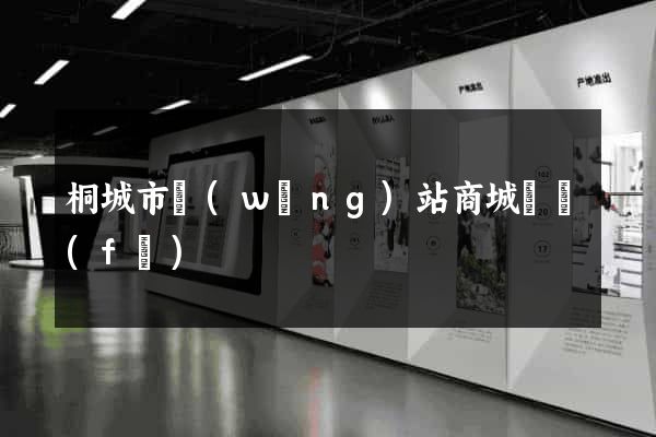 桐城市網(wǎng)站商城開發(fā)