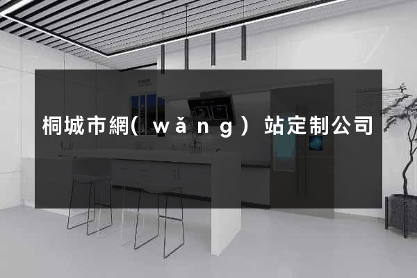 桐城市網(wǎng)站定制公司