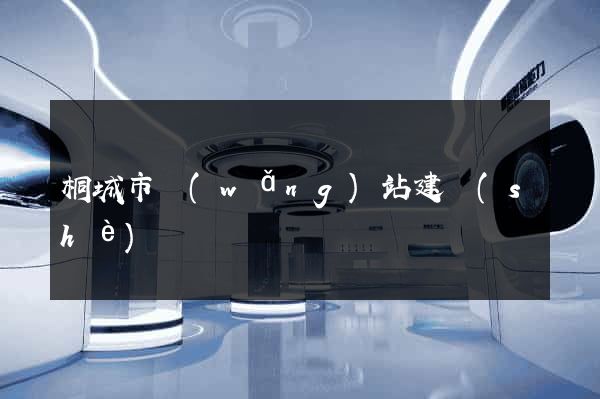 桐城市網(wǎng)站建設(shè)
