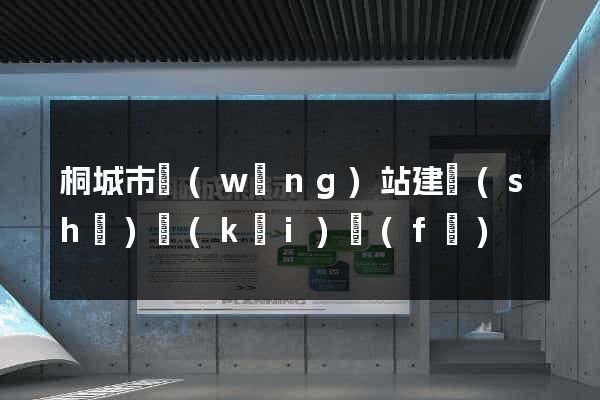 桐城市網(wǎng)站建設(shè)開(kāi)發(fā)
