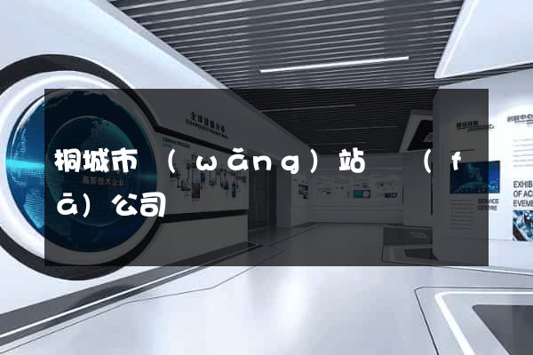 桐城市網(wǎng)站開發(fā)公司